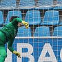 29.4.2017 Chemnitzer FC vs. FC Rot-Weiss Erfurt 1-1_20